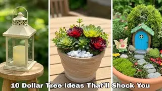 ✨ I Transformed My Garden With Cheap Summer Dollar Tree DIYs That Look EXPENSIVE - Will SHOCK You!💰