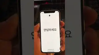 iPhone 12 Mini bricked