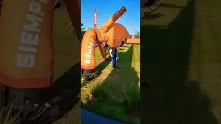 Globo loco B1