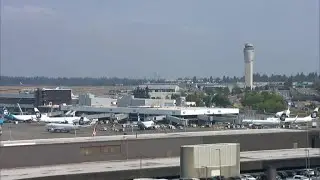 TSA head addresses security concerns after stolen plane incident