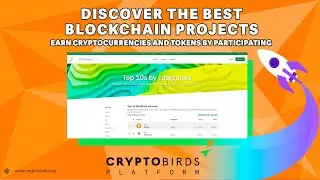 CRYPTO BIRDS🤖Откройте для себя лучшие проекты Blockchain и зарабатывайте криптовалюту Алгоритм