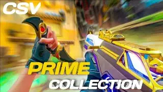 PRIME COLLECTION || CSV