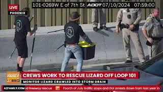 Watch LIVE: Crews work to rescue large lizard off Loop 101