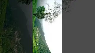Nature at best in Mirik, West Bengal 📌 #nature #beautiful #explore #viral #travel