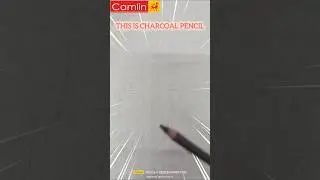 CAMLIN CHARCOAL PENCIL @30