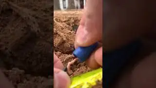 Silicone filled wire connectors are game changers for low voltage landscape lights! #shorts #diy