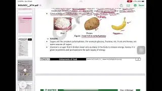 Lec 1 @ Biology of class 6 (Matrix Olympiad)