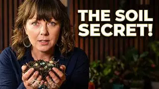 Molly Haviland EXPOSES the Secret to CLEAN SOIL for CLEAN FOOD