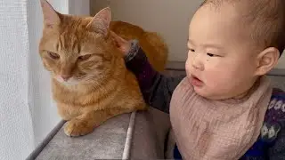 猫さんを親友だと思って成長した赤ちゃんがこうなりました