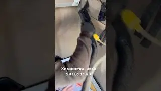Химчистка авто #cleaning #truck #химчистка # #adventure #relaxingmusic #music