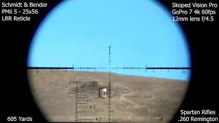 Spartan .260 Rem S&B 5-25 Skoped Vision