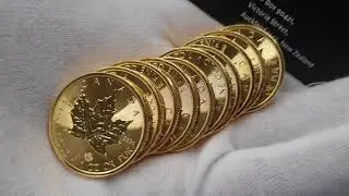 2020 1oz Gold CANADIAN 🍁 Maple Coins - 10 x 1oz of Pure Beauty!