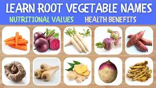 Root Vegetables | Nutritional Values | Types of Vegetables | Carrot, Radish, Beetroot | Aster Buds