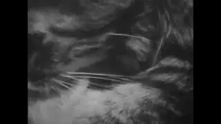 Sev Dah - Xanax (Inter Gritty Remix)
