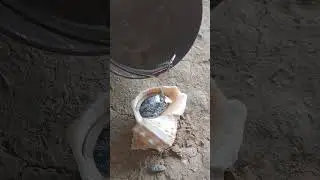 Pouring Hot Metal Into a Shell Creates Something Awesome! #shorts #restoration #reels #aluminum