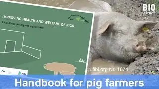 New handbook by ProPig (CORE Organic): Improving health and welfare of pigs (Aug 2015)