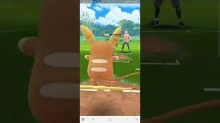 alolan egg is just as frustrating in the kanto cup