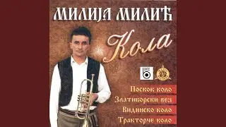Detlic kolo