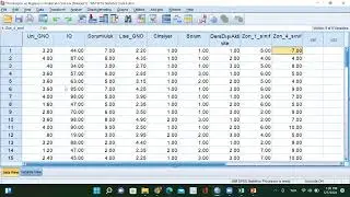 SPSS Wilcoxon T Testi