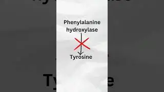 Phenylketonuria | Class 12 Genetics #neet #biology #shorts
