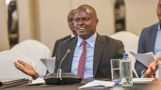 NDINDI NYORO EXLOSIVE SUBMISSION ON SALE OF GOK SHARES SHOCKS MPS!
