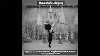 This is Wushu Jibengong