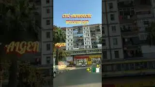 Aziouz45 : cit&eacute; amirouche Hussein Dey Alger Alg&eacute;rie el Djaza&iuml;r 🇩🇿🇵🇸