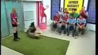 Goodbye Tim Lovejoy