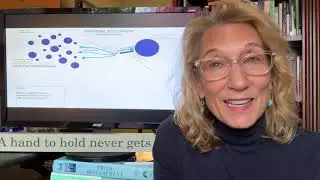 FILTER BUBBLES of TRAUMA part 1 deep dive 10min