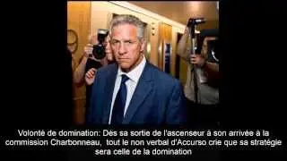Analyse de Tony Accurso par Christine Gagnon
