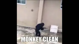 MONKEY STORM