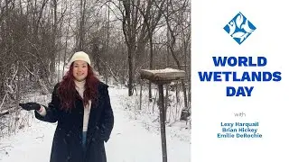 Winter Wetlands