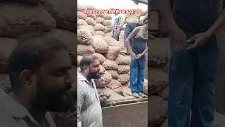 Ahmednagar Nasik ka pyaj🧅 pyaj Bhav today 🧅 onion rate today 🧅#shafeeqmohammad #onionrate #barabanki