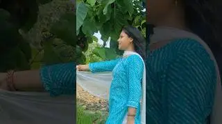 हमसफर के लिए हमसफर मिल गया। #trending #song #ytshort #love #viralshorts #myfirstvlog #reels