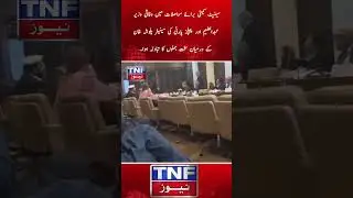 Heated Exchange in Senate Committee  Federal Minister vs Senator Plosheh Khan