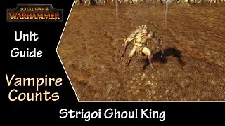 Total War: Warhammer Руководство по отрядам &mdash; Король-Упырь Стригой &mdash; Графства Вампиров