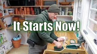 Начинаю выращивать лук | Посев семян начался!