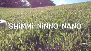 Shimmi Ninno Nano
