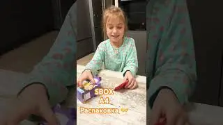 Распаковка SBOX #a4production #распаковка