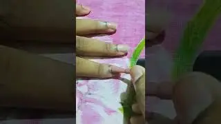 #easynailart.#sweetsongs