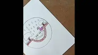 world wetland day drawing #shorts #youtubeshort