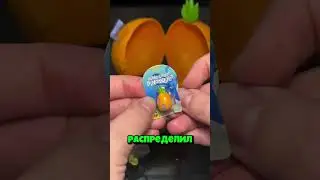 Вырастил Губку Боба!