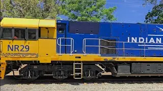 Indian Pacific Loco Chugging Along Solo #railway #trainspotting #railfanning #trainspotter #railfans