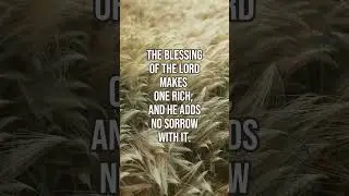 THE BLESSINGS OF THE LORD #bible #verse #jesus #blessings #proverbs 10:22