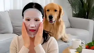 😂 Unexpected Animal Reactions That Will Blow Your Mind!