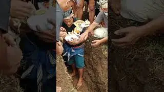 prosesi unik bali sebelum ngaben mayat yang di kubur akan digali dan diangkat untuk dibersihkan#fyp