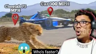 MrBeast Raced a Cheetah?! 😱 Fastest Car vs Nature | My Reaction!