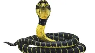 NAGA NIDHI (Trailor2) swarna manjari Naga Goddes story