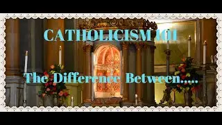 🌹🙏🌹 Catholicism 101: The Difference Between A Chapel, Parish, Cathedral, Basilica and Shrine