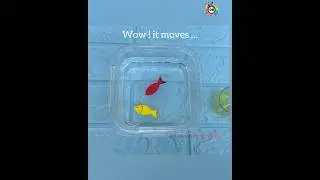 Paper fish swimming , How ? | fun science experiment #shorts #shortsfeed #youtubeshort